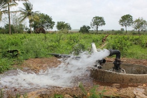 Submersible-Pump-for-Agriculture-300x200